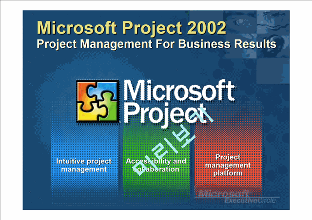 MICROSOFT EnterpriseProject   (10 )